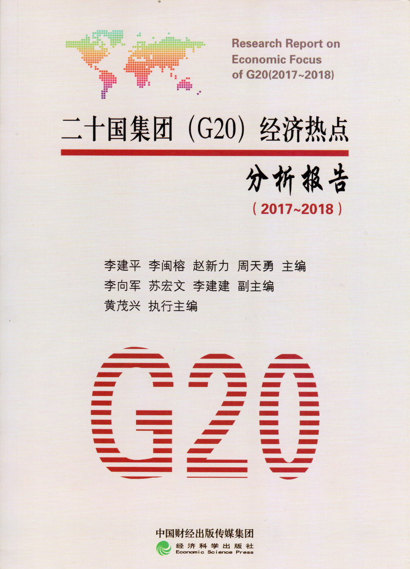 大鸡巴操逼视频无码二十国集团（G20）经济热点分析报告（2017-2018）